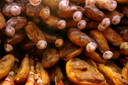 Règlement du jambon iberico bellota pata negra serrano