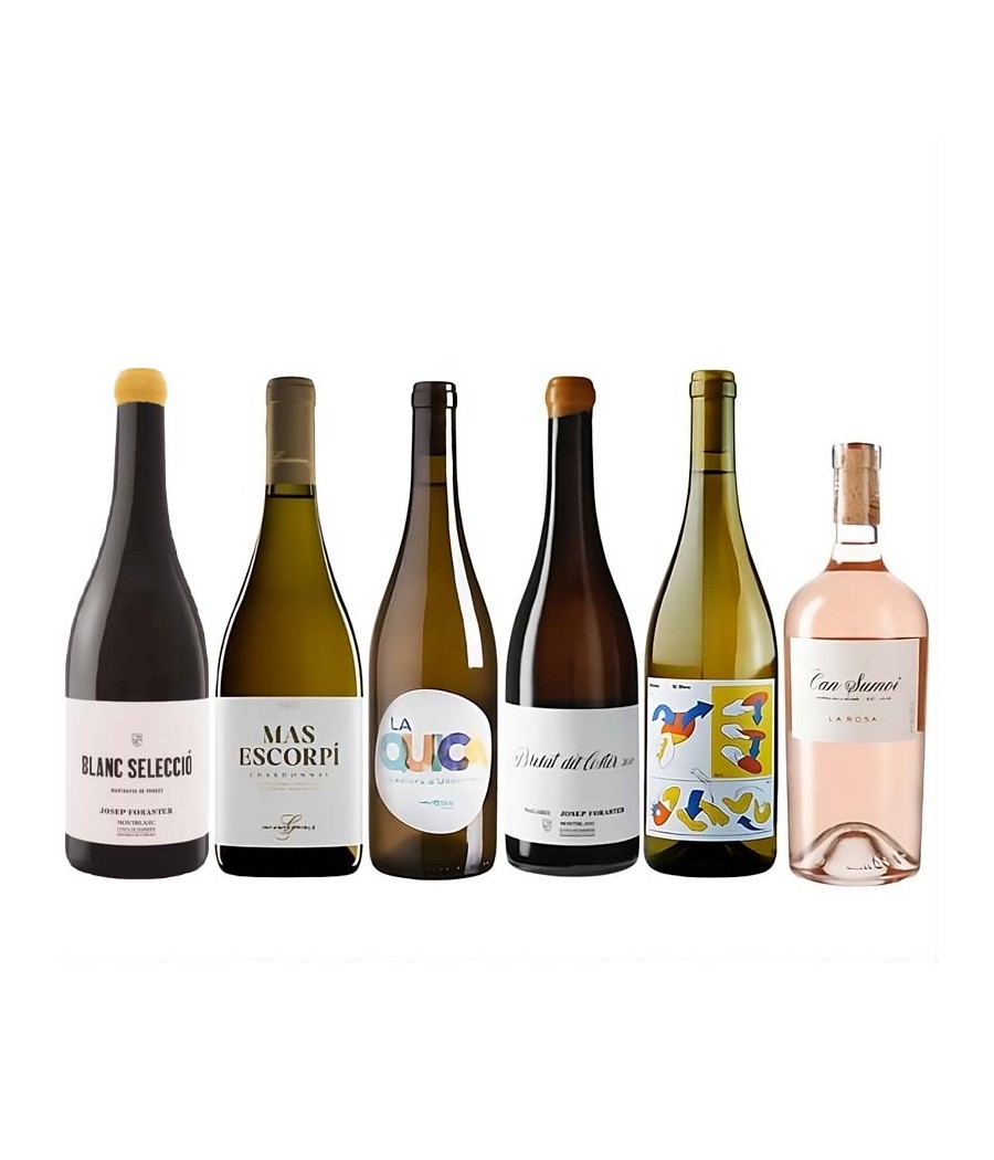 Lot Regal - Vins Catalans