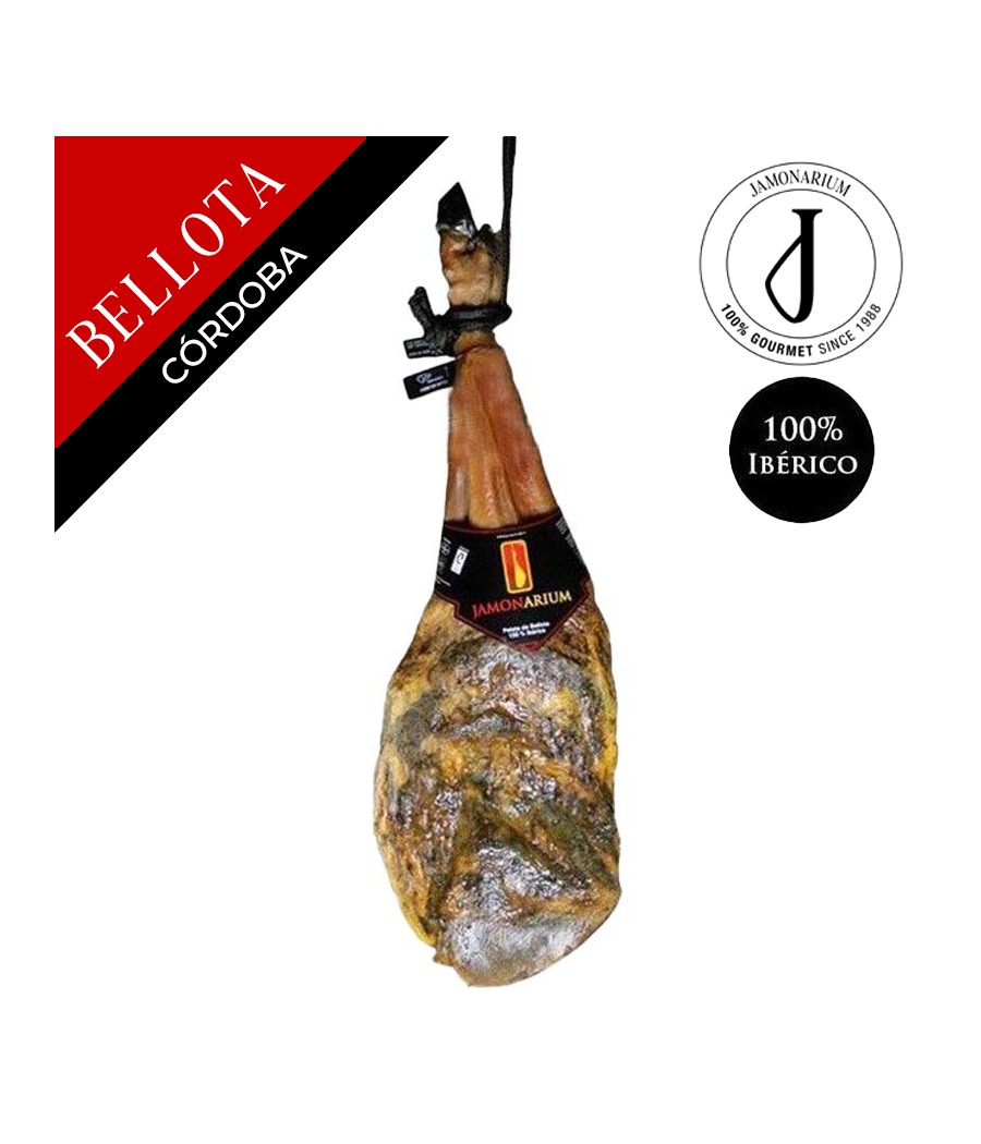 Spalla Ibérico de Bellota (Los Pedroches, Córdoba), 100% Gara Iberica - Pata Negra