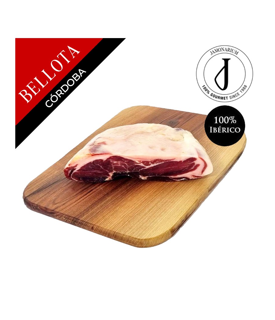 Paleta de Bellota 100% Ibérica Córdoba (Los Pedroches) - Pata Negra - DESHUESADA - Punta