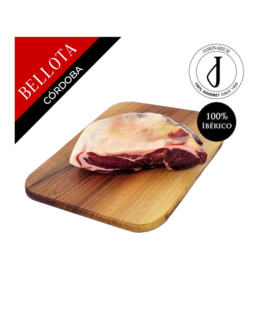 Paleta de Bellota 100% Ibérica Córdoba (Los Pedroches) - Pata Negra - DESHUESADA - Caña