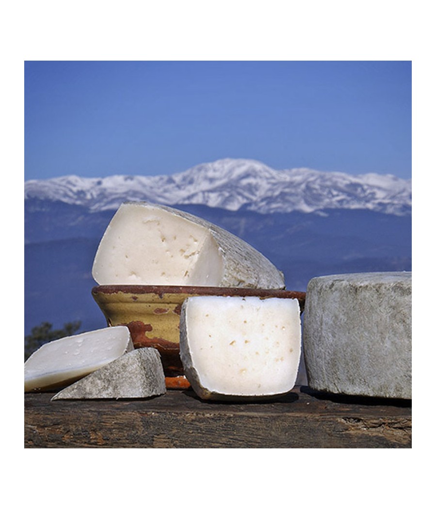 Artisanal sheep's cheese "Pyrenees" style
