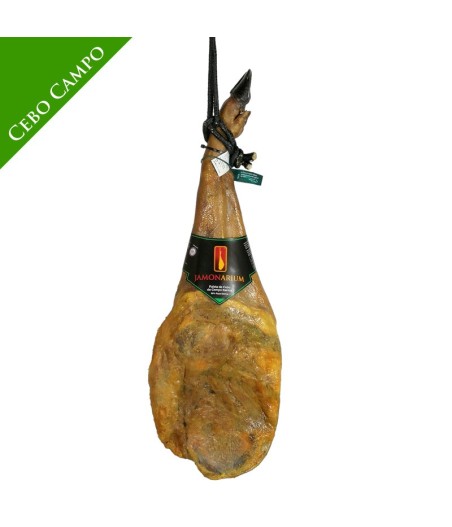 Ibérico Cebo de Campo Shoulder, 50% Iberian Breed