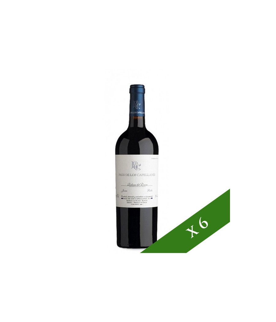 BOX x6 - Pago de los Capellanes Roble, D.O. Ribera del Duero