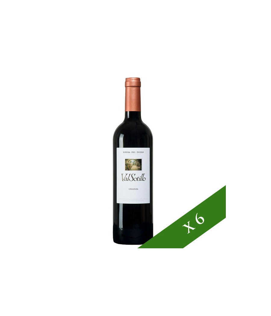 BOX x6 - Valsotillo Crianza, DO Ribera del Duero
