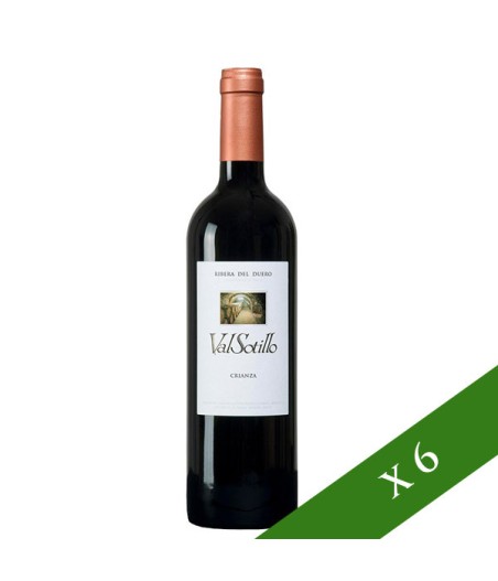 BOX x6 - Valsotillo Crianza, DO Ribera del Duero