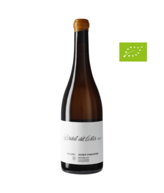 Josep Foraster Brisat del Coster Weiß Natural Biowein, g.U. Conca de Barberá