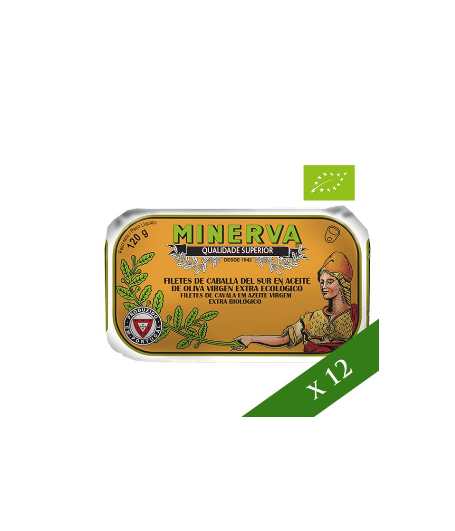 BOX x12 - Makrelenfilet in nativem Olivenöl ökologisch extra Minerva 120g