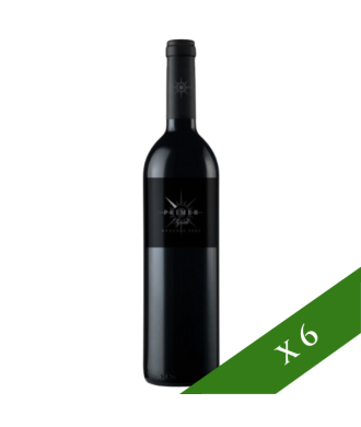 BOX x6 - Sers Primer Jungere Rotwein, G.U Somontano