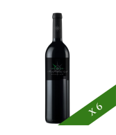 BOX x6 - Sers Temple Crianza D.O. Somontano