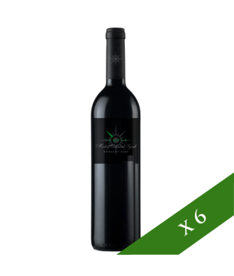 BOX x6 - Sers Temple Crianza D.O. Somontano