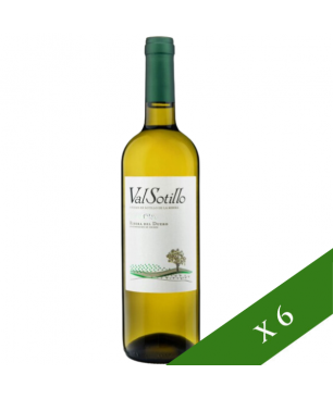 BOX x6 - Valsotillo Weißwein Albillo, G.U Ribera Del Duero