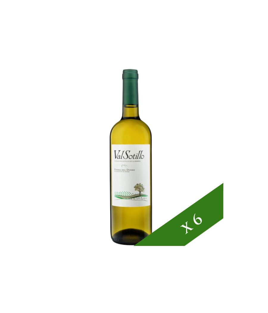 BOX x6 - Valsotillo White Wine, D.O Ribera Del Duero