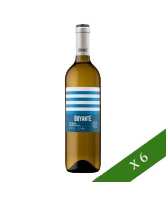CAJA x6 - Boyante Verdejo, D.O. Rueda