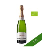 BOÎTE x6 - Cava Pedregosa Petit Cuvee Brut Nature Bio, A.O.C. Cava