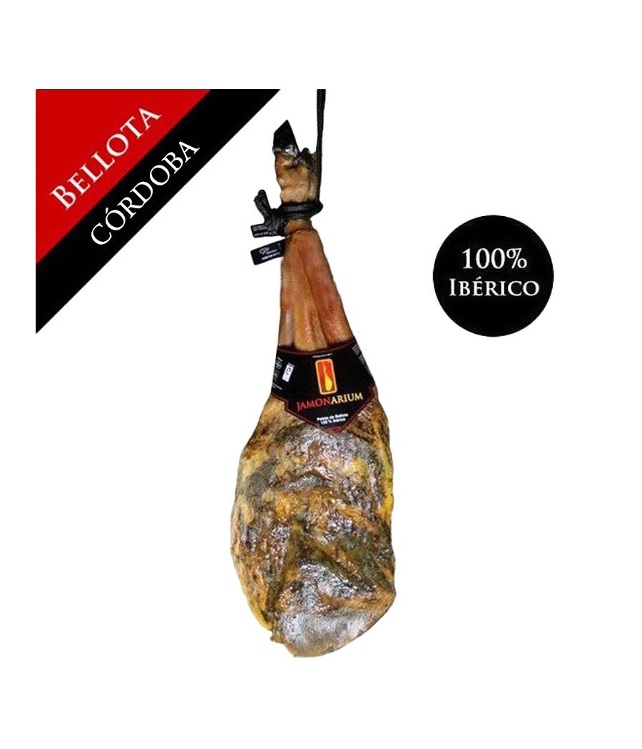 Épaule Ibérico de Bellota (Los Pedroches, Córdoba), 100% Race Ibèrique - Pata Negra Épaule Ibérico de Bellota (Los Pedroches, Córdoba), 100% Race Ibèrique - Pata Negra
