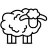 Quesos de Oveja