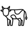 Quesos de Vaca