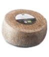 Semi Cured Cheeses