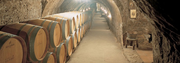 underground cellar 16 century wine barrels 