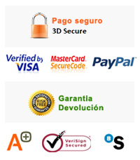 payment securisé