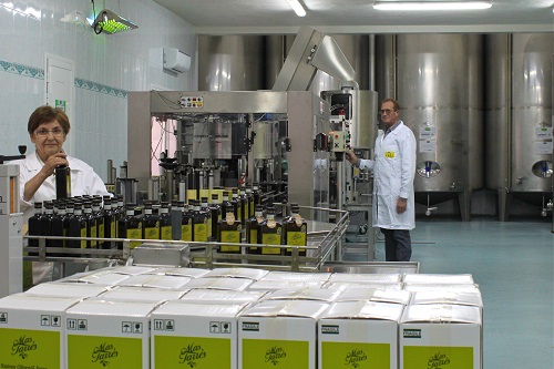 proceso elaboración linea envasado aceite oliva más tarrés