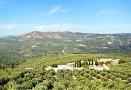 Pueblos con sabor: Jaén, el manantial del oro verde