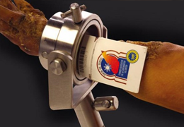 ¿Conoces el Jamón de Teruel?