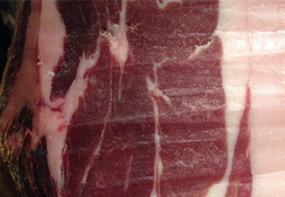 Piojillos del jamón, ¿Qué son y cómo puedes evitarlos?