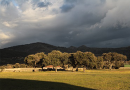 The Dehesa a unique ecosystem