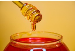 La miel, el manjar natural más antiguo. ¿Qué debes saber antes de comprarla?